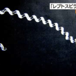 川や滝で要注意！【レプトスピラ症】の恐怖とは