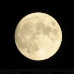 【中秋の名月と重なり合う名城】“合成なし”奇跡の1枚・・・