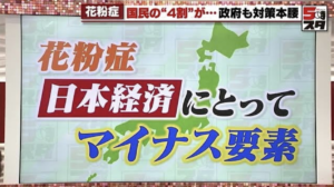 花粉症に吉報か？【スギの伐採・酪農視察】岸田総理、経済対策に動き出す