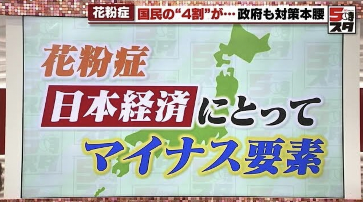 花粉症に吉報か？【スギの伐採・酪農視察】岸田総理、経済対策に動き出す