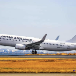 「力士が多すぎて飛べない…」奄美大島行きのJAL便でおきた珍事