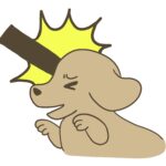 犬が元飼い主を訴えた！？虐待による損害賠償請求へ（ブラジル）