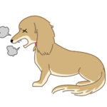 咳が止まらない！ニューヨークで広がる謎の犬の呼吸器疾患、専門家が警鐘を鳴らす