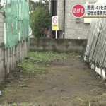 父親と散歩中の男児（4歳）が犬に複数箇所を噛まれ負傷、噛んだ犬は『闘犬』