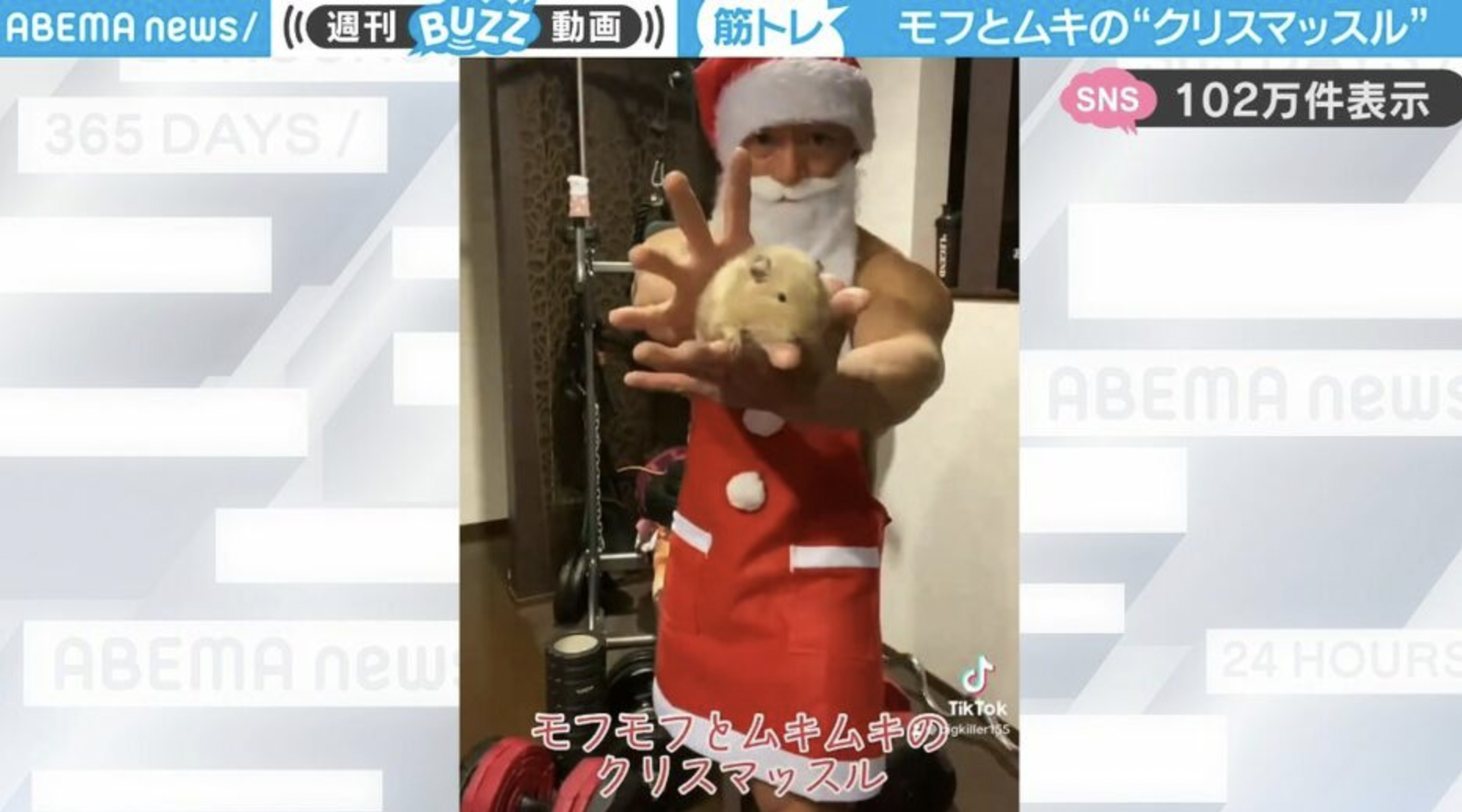 【モフモフとムキムキの“クリスマッスル”】ムキムキサンタ動画に思わずニッコリ☆